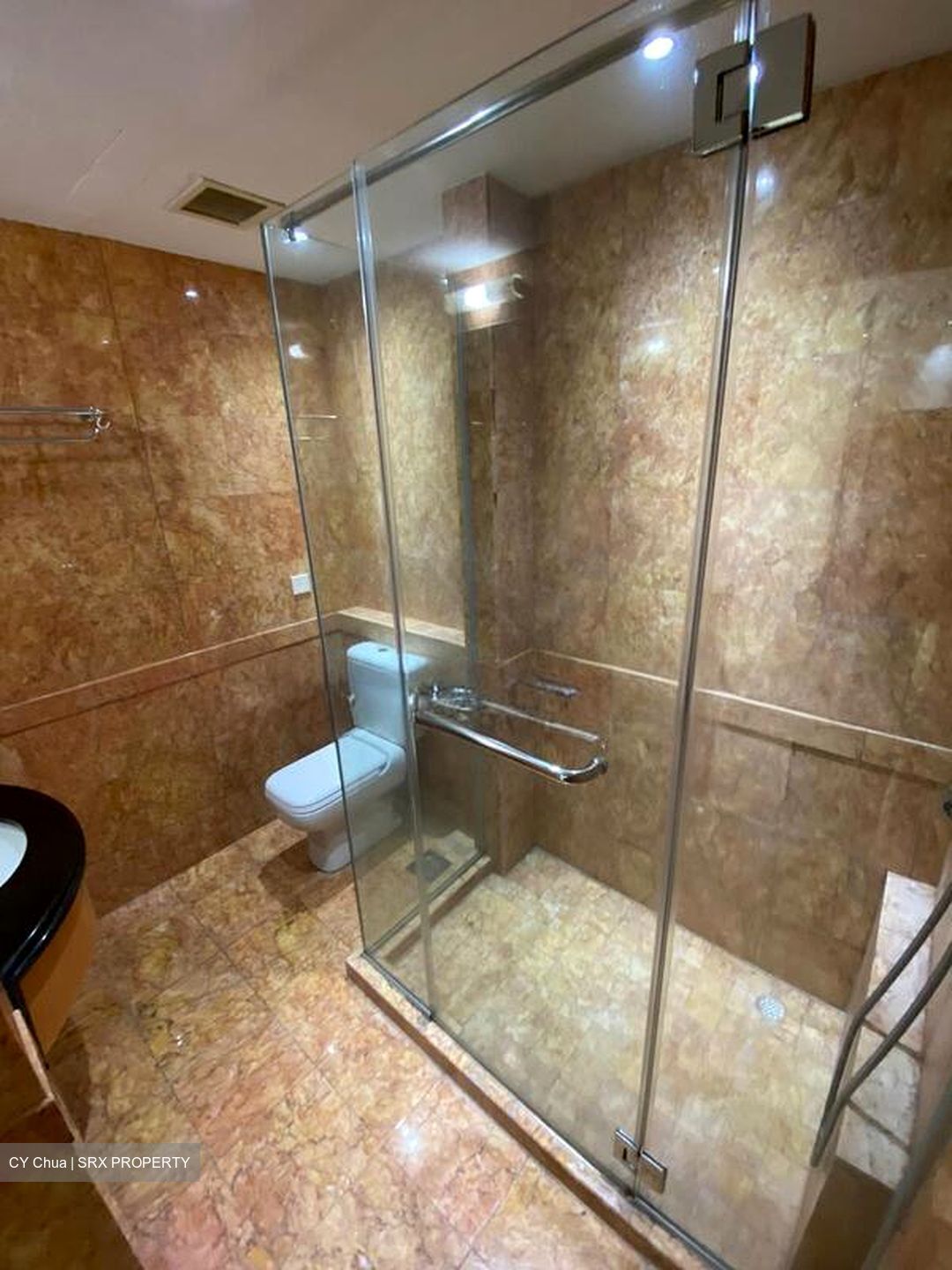 Orchard Scotts (D9), Condominium #504040591